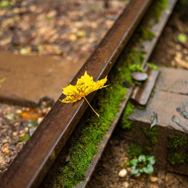 Weather forecasts with beautiful photos by GrgaP