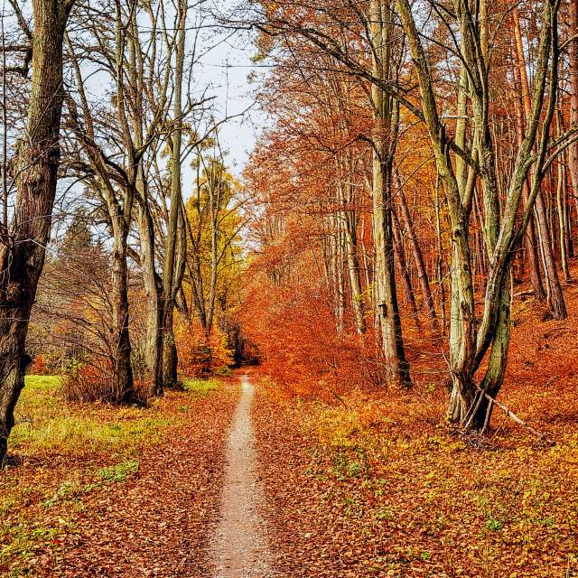 Dự báo thời tiết với những bức ảnh đẹp của Wiesiek