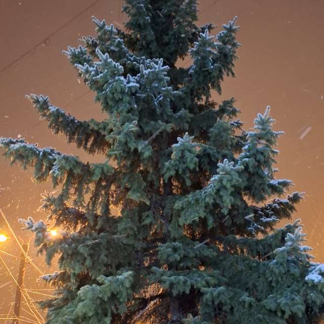 Wettervorhersagen mit schönen Fotos von Iryna