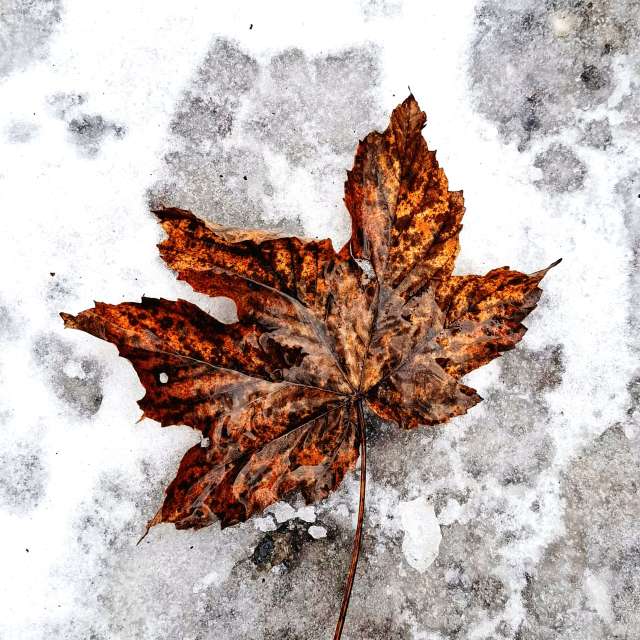 Прогнозы погоды с чудесными фотографиями, сделанными schimi