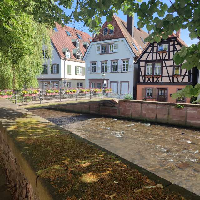 Bus. Weather forecasts with beautiful photos by Tercis Photos in Ettlingen