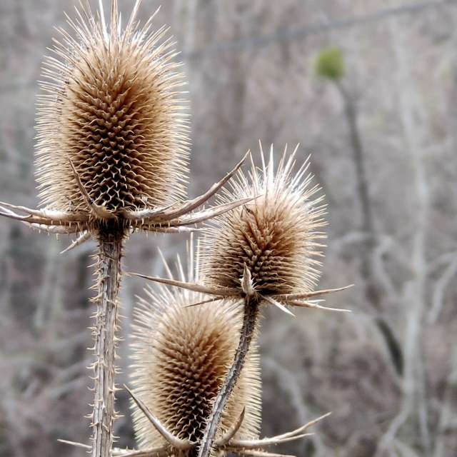 Wettervorhersagen mit schönen Fotos von Belkka303