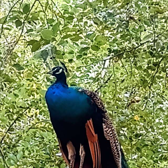 Weather forecasts with beautiful photos by Christinam01