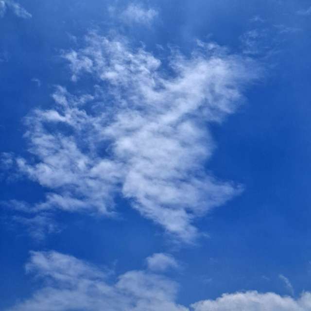 Photos Cerf-volant. Prévisions météo avec de superbes photos de Wen-ya Huang de Kaohsiung