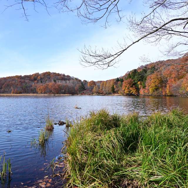 秋. Weather forecasts with beautiful photos by yoshy Photos in World