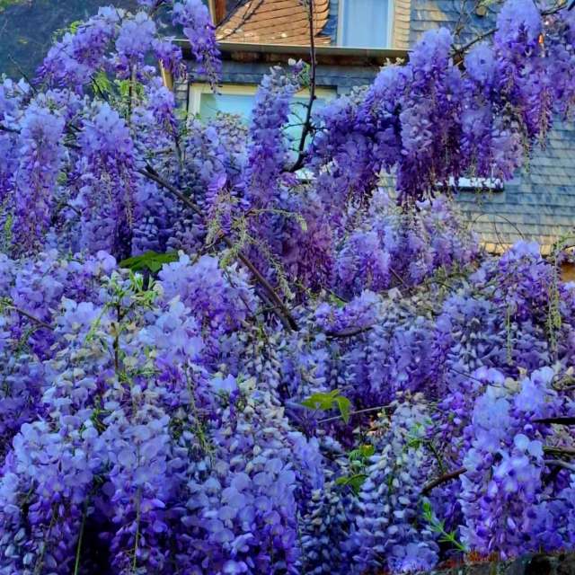 House. Weather forecasts with beautiful photos by Seni Photos in Velbert