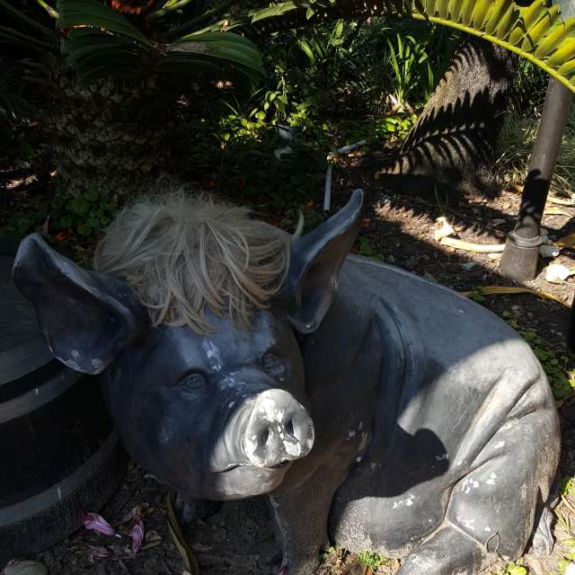 天气预报，带Step_Gently精美的照片