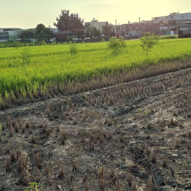 Fotos Ferrovia. Previsões do tempo com lindas fotos de Wen-ya Huang em Kaohsiung City