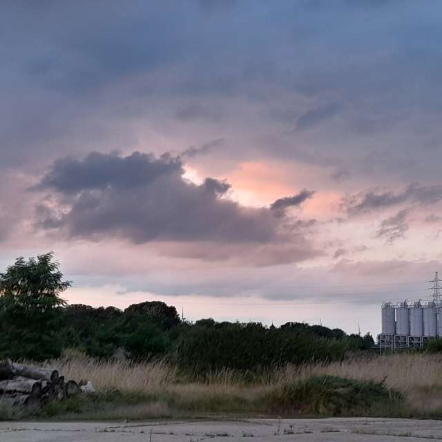 天气预报，带Liv精美的照片