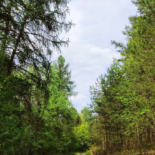 Fotos del Clima. Pronósticos del tiempo con hermosas fotos de Romek58 en Województwo Łódzkie