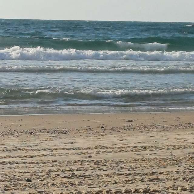 天气预报，带Zaza精美的照片