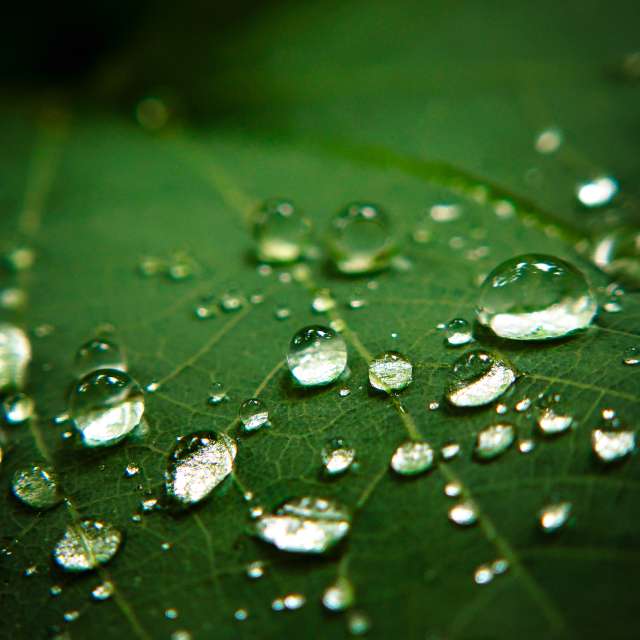 Weather forecasts with beautiful photos by LuJoHao