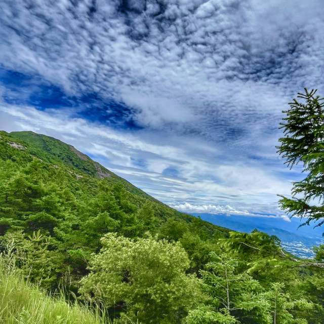 Grass. Weather forecasts with beautiful photos by Kasumisou Photos in 高峰高原