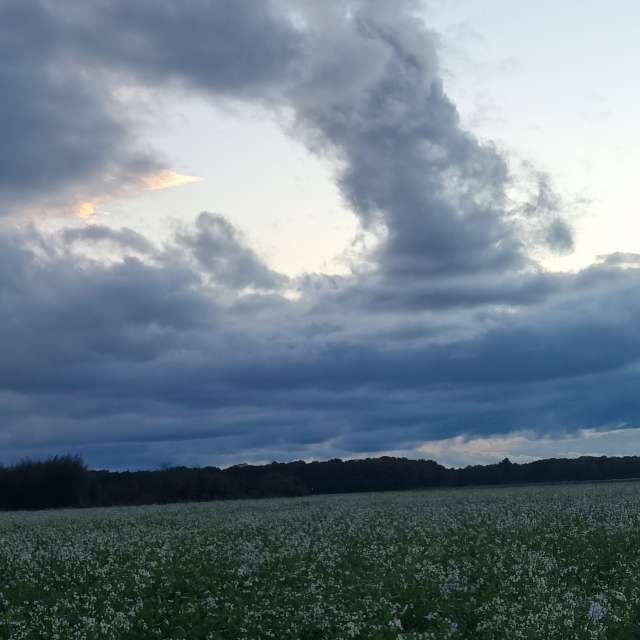 Niagaraの美しい写真による天気予報