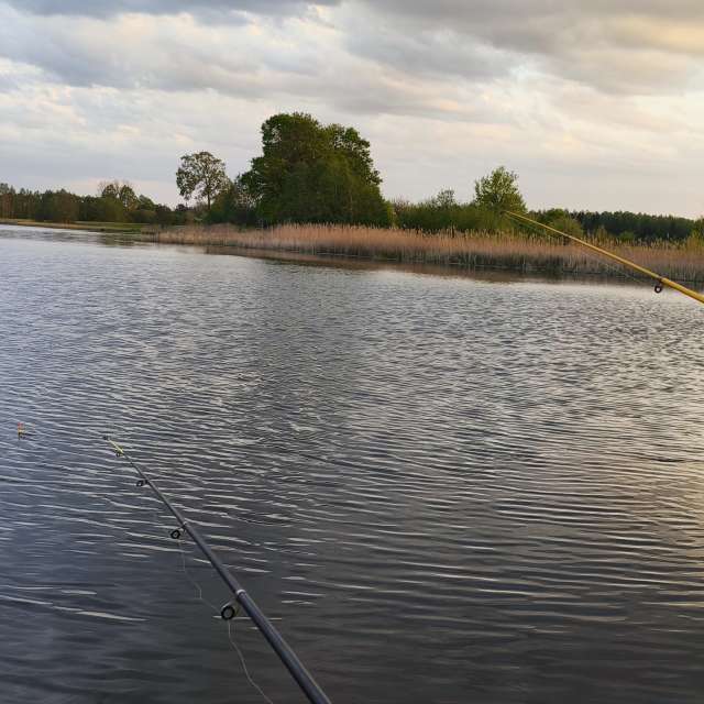 Pond. Weather forecasts with beautiful photos by Valiukas Photos in Lithuania