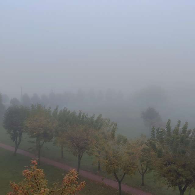 Fotos del Pasto. Pronósticos del tiempo con hermosas fotos de Romek58 en Wieluń