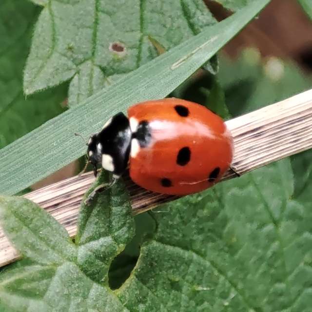 accoteの美しい写真による天気予報