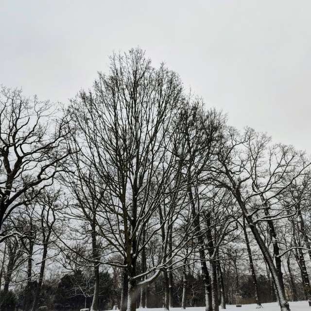 天气预报，带Gaucho精美的照片