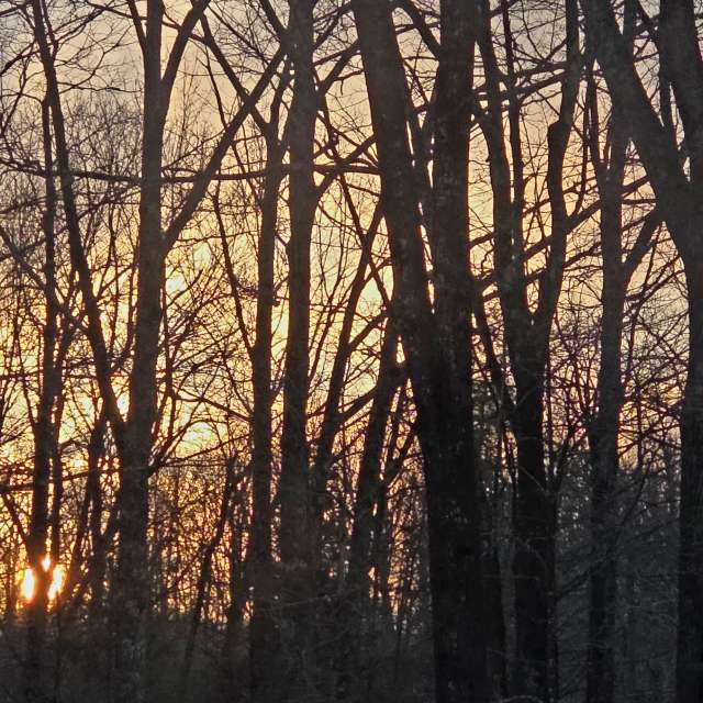 Winter. Weather forecasts with beautiful photos by Kepi Photos in World