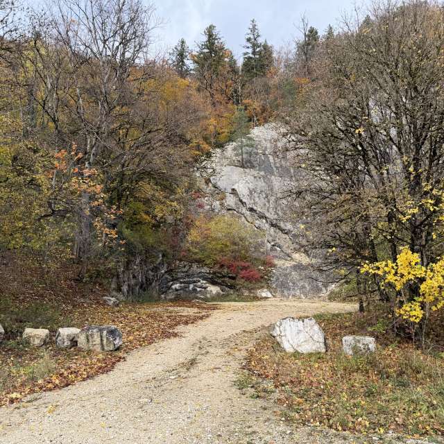 Photos Route. Prévisions météo avec de superbes photos de SwissEloi de Sonceboz