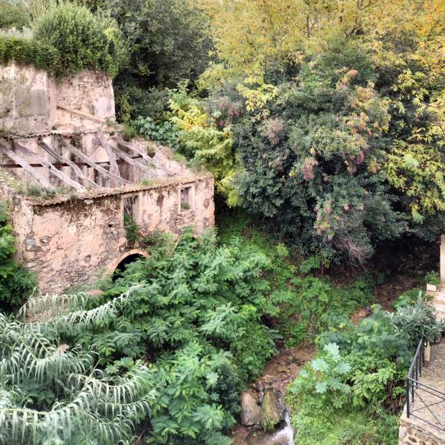 天气预报，带Antonio_Mancuso精美的照片