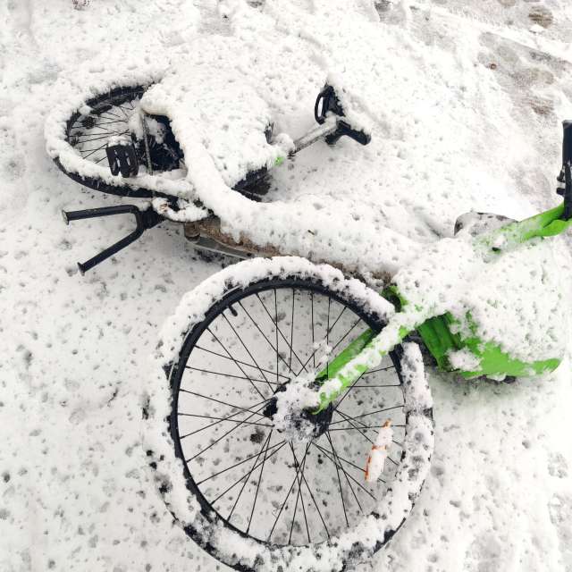 Прогнозы погоды с чудесными фотографиями, сделанными Zorrra