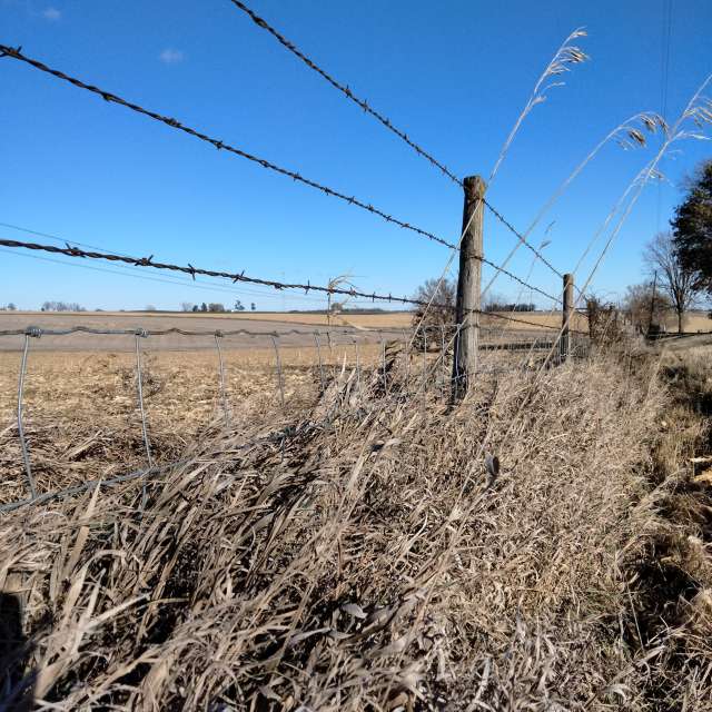 Weather forecasts with beautiful photos by Kate72