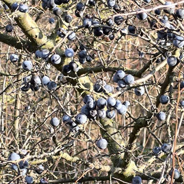 Dự báo thời tiết với những bức ảnh đẹp của Claudsch