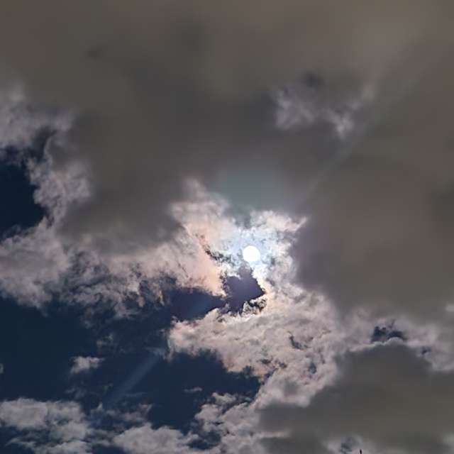 天气预报，带Rukh-08-08精美的照片