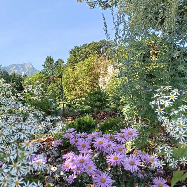 Prévisions météo avec de superbes photos de Am-b
