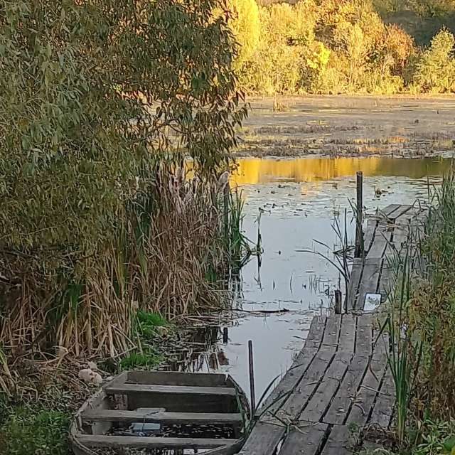 天气预报，带Djon精美的照片