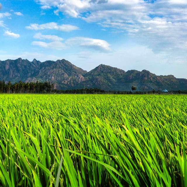 Previsões do tempo com lindas fotos de Vimal_Ram_S