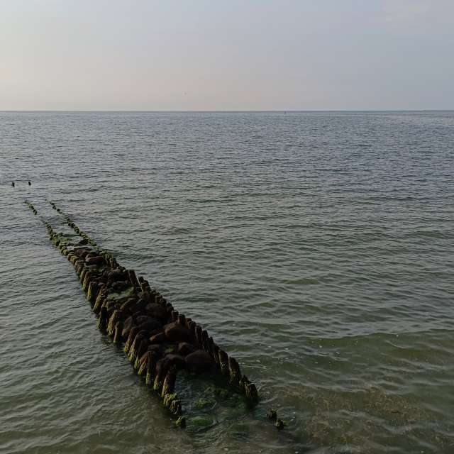 Fotos A lei. Previsões do tempo com lindas fotos de Михаил Бондаренко em Pionerskiy