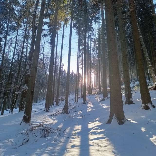 Wettervorhersagen mit schönen Fotos von Kripo