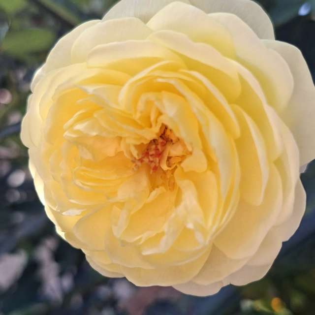 Filling. Weather forecasts with beautiful photos by Wen-ya Huang Photos in Kaohsiung City