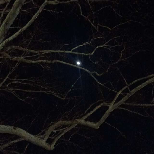 Fotos del Joven. Pronósticos del tiempo con hermosas fotos de YanBog en București