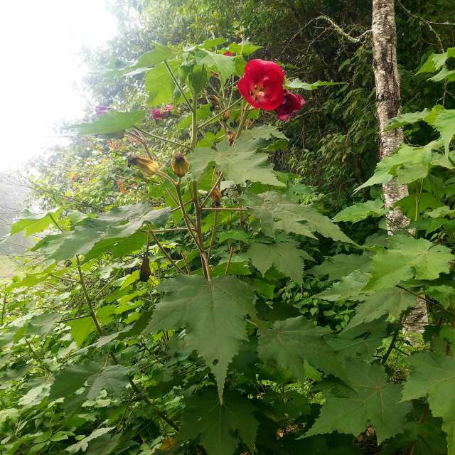 Weather forecasts with beautiful photos by Maggie Cabrer