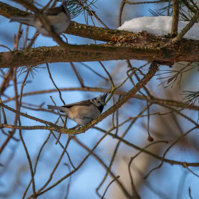 Previsões do tempo com lindas fotos de ooee