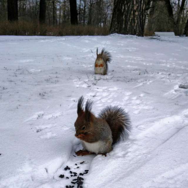 Weather Photos in World. Weather forecasts with beautiful photos by Jea