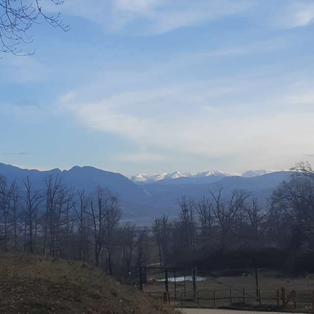 Prévisions météo avec de superbes photos de Florabresler