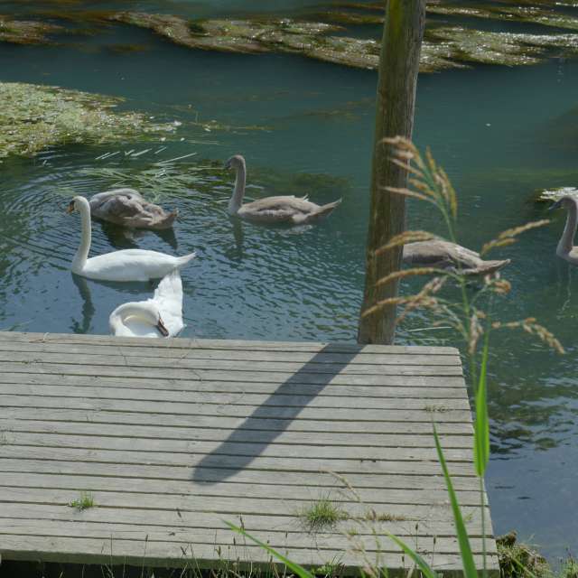 天气预报，带loris-b精美的照片