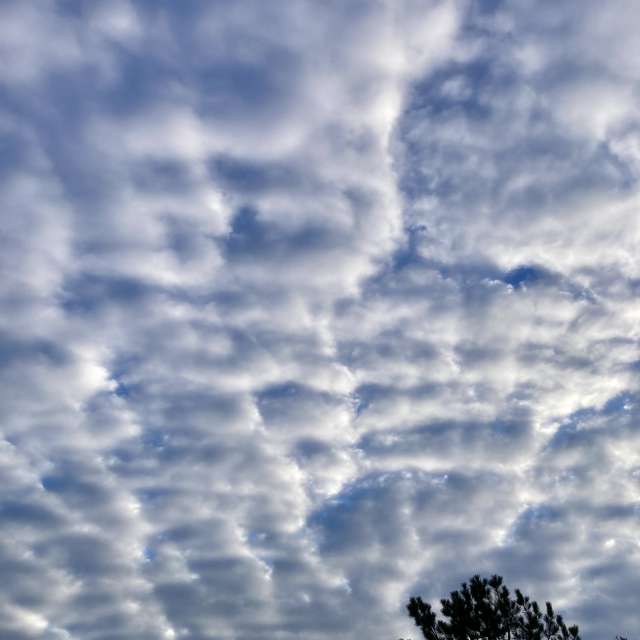 Pronósticos del tiempo con hermosas fotos de prairiesands