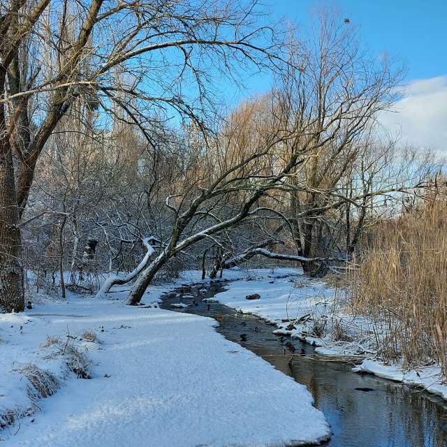 Open air. Weather forecasts with beautiful photos by Iryna Photos in Kharkiv