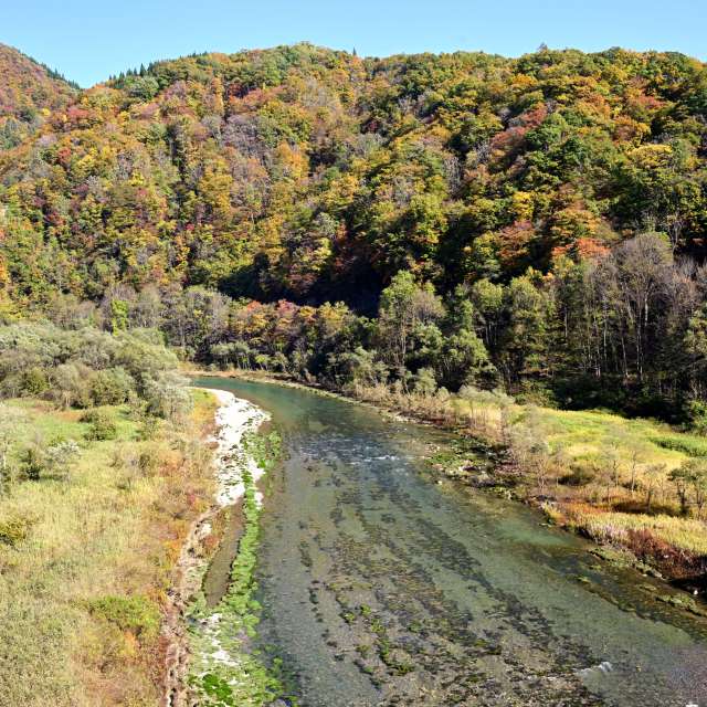 Weather forecasts with beautiful photos by yoshy
