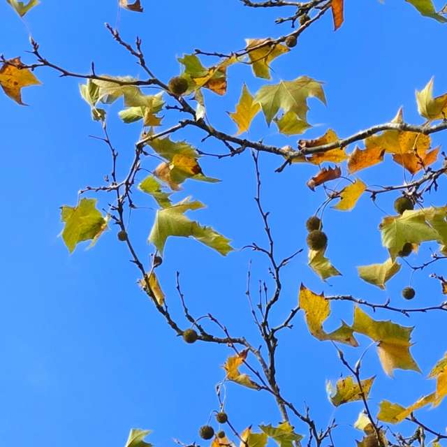 Resting. Weather forecasts with beautiful photos by Seni Photos in Velbert