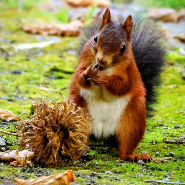 GREENE. Weather forecasts with beautiful photos by Lotti5507 Photos in Wellinghofen