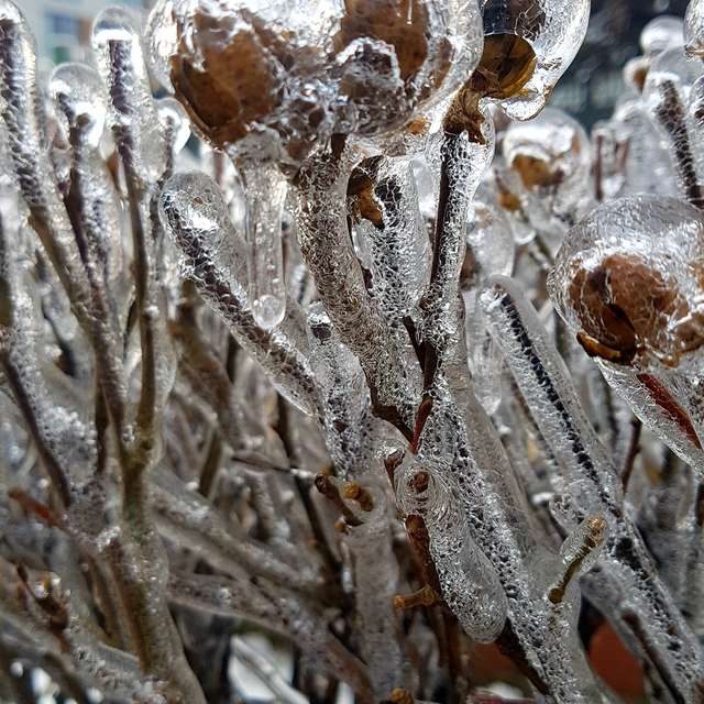 Fotos del De pie. Pronósticos del tiempo con hermosas fotos de Bogdan_Parlici en Bucharest