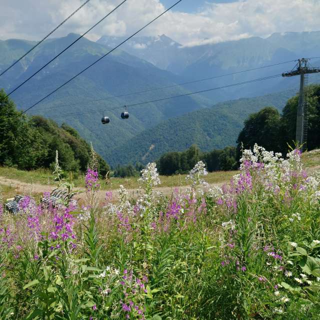 View. Weather forecasts with beautiful photos by МарияЕкб Photos in Roza Khutor