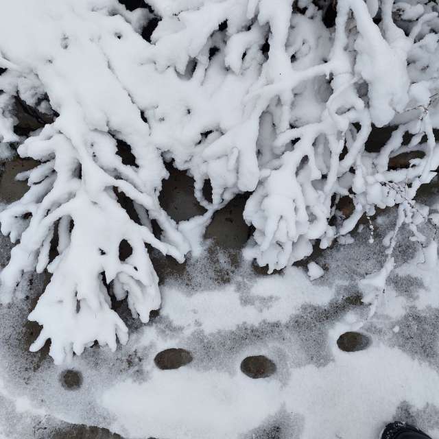 Open. Weather forecasts with beautiful photos by Iryna Photos in Kharkiv