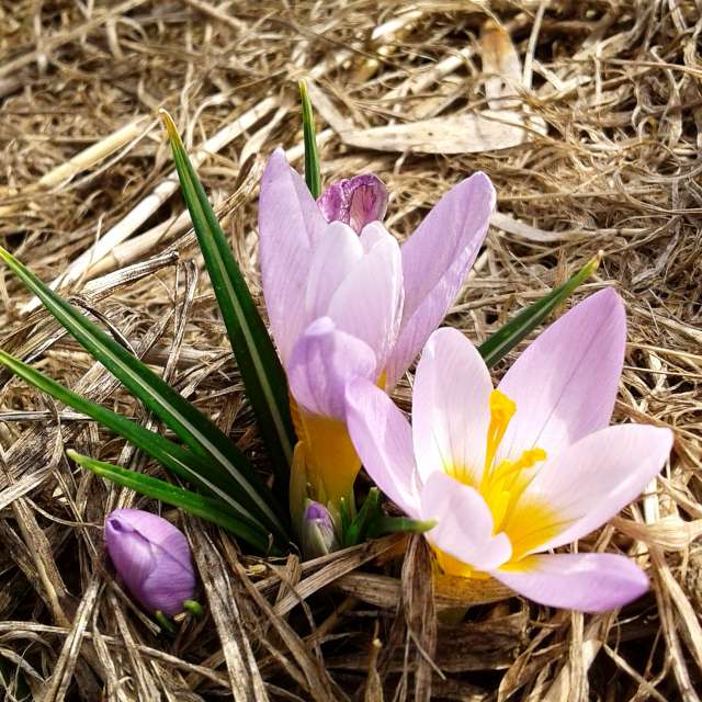 Hay. Weather forecasts with beautiful photos by urashm Photos in Khmelnytskyi
